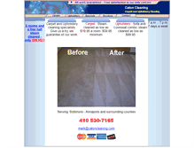 Tablet Screenshot of catoncleaning.com